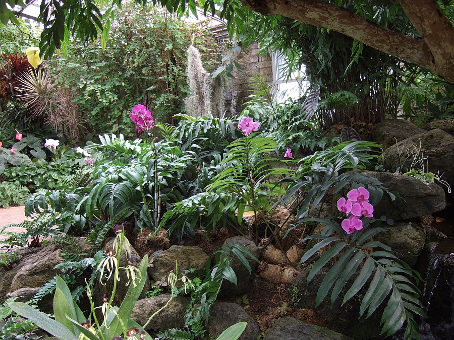 Дендрарий и Ботанический сад, Аркадия, Калифорния, США. Los Angeles County Arboretum and Botanical Garden, Arcadia, CA, USA