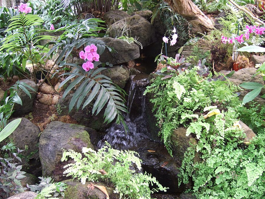 Дендрарий и Ботанический сад, Аркадия, Калифорния, США. Los Angeles County Arboretum and Botanical Garden, Arcadia, CA, USA