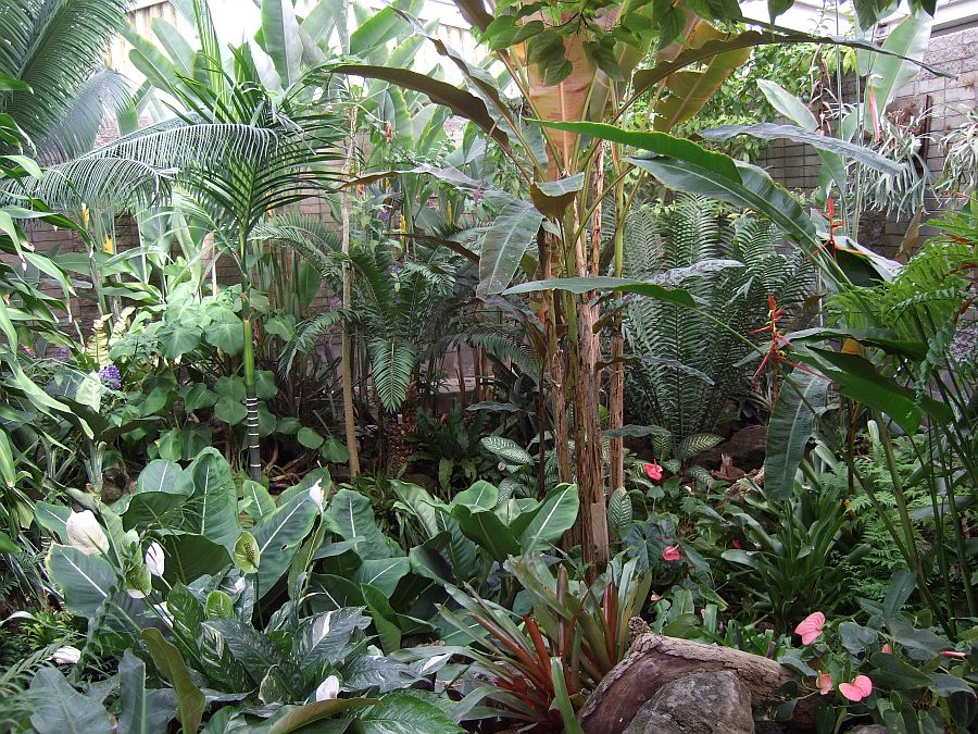 Дендрарий и Ботанический сад, Аркадия, Калифорния, США. Los Angeles County Arboretum and Botanical Garden, Arcadia, CA, USA