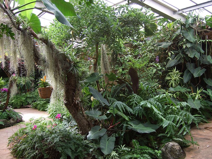 Дендрарий и Ботанический сад, Аркадия, Калифорния, США. Los Angeles County Arboretum and Botanical Garden, Arcadia, CA, USA