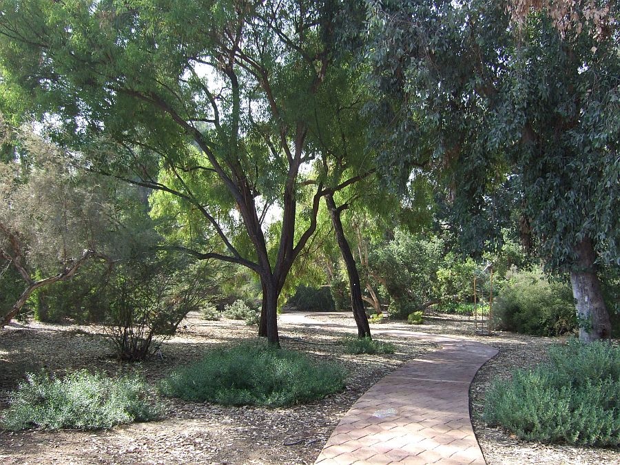 Дендрарий и Ботанический сад, Аркадия, Калифорния, США. Los Angeles County Arboretum and Botanical Garden, Arcadia, CA, USA