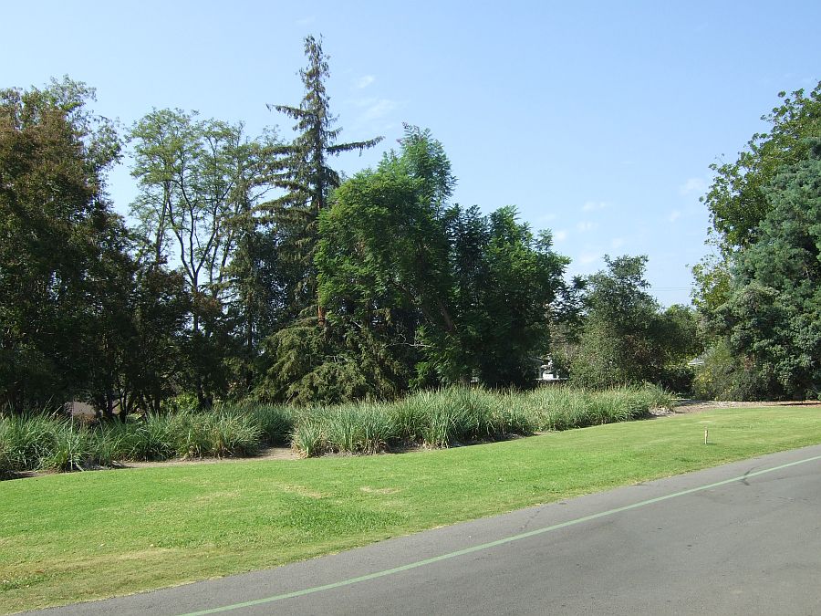 Дендрарий и Ботанический сад, Аркадия, Калифорния, США. Los Angeles County Arboretum and Botanical Garden, Arcadia, CA, USA
