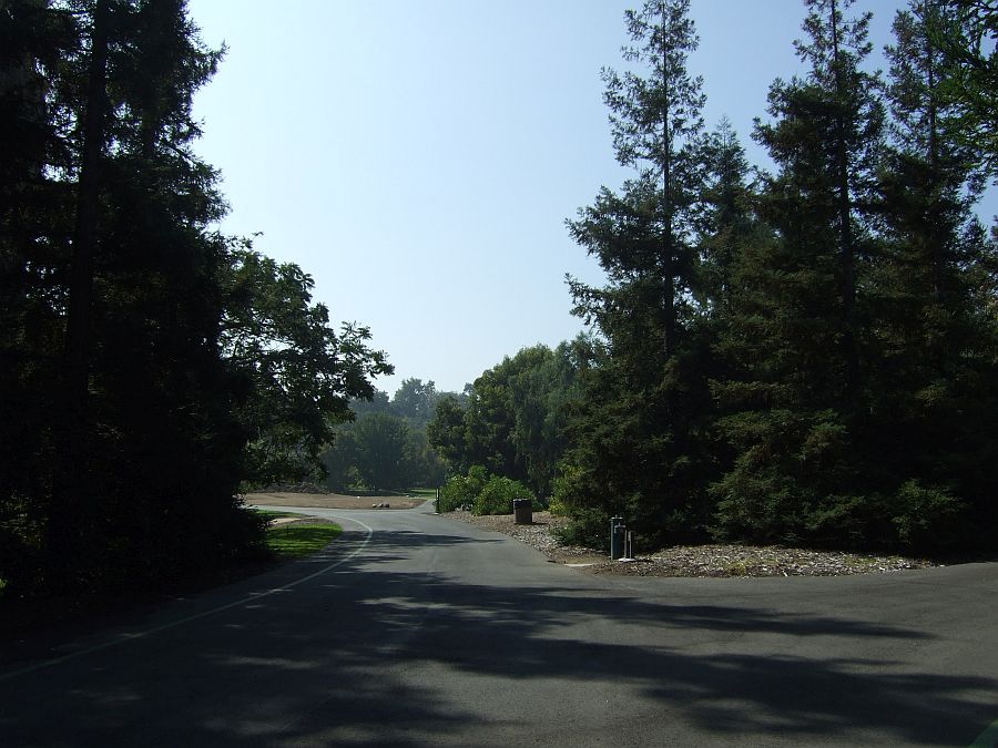 Дендрарий и Ботанический сад, Аркадия, Калифорния, США. Los Angeles County Arboretum and Botanical Garden, Arcadia, CA, USA