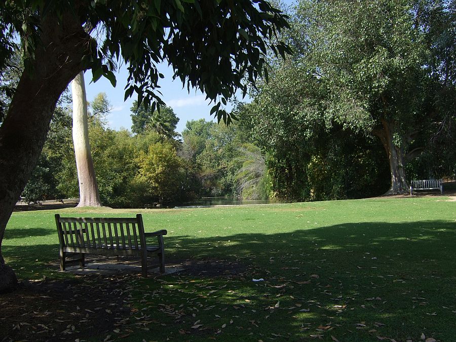 Дендрарий и Ботанический сад, Аркадия, Калифорния, США. Los Angeles County Arboretum and Botanical Garden, Arcadia, CA, USA