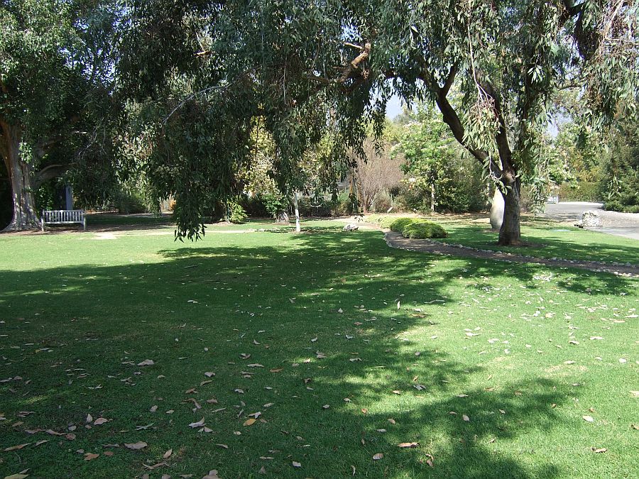 Дендрарий и Ботанический сад, Аркадия, Калифорния, США. Los Angeles County Arboretum and Botanical Garden, Arcadia, CA, USA