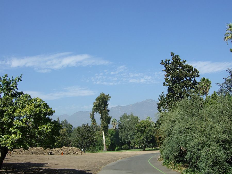 Дендрарий и Ботанический сад, Аркадия, Калифорния, США. Los Angeles County Arboretum and Botanical Garden, Arcadia, CA, USA
