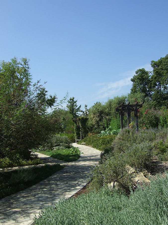 Дендрарий и Ботанический сад, Аркадия, Калифорния, США. Los Angeles County Arboretum and Botanical Garden, Arcadia, CA, USA