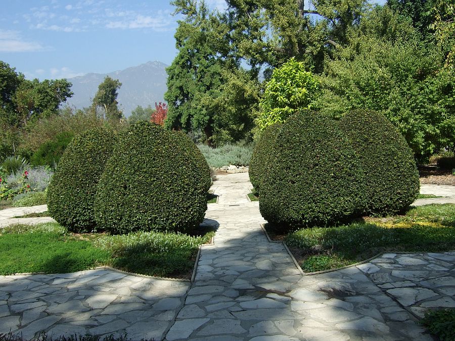 Дендрарий и Ботанический сад, Аркадия, Калифорния, США. Los Angeles County Arboretum and Botanical Garden, Arcadia, CA, USA