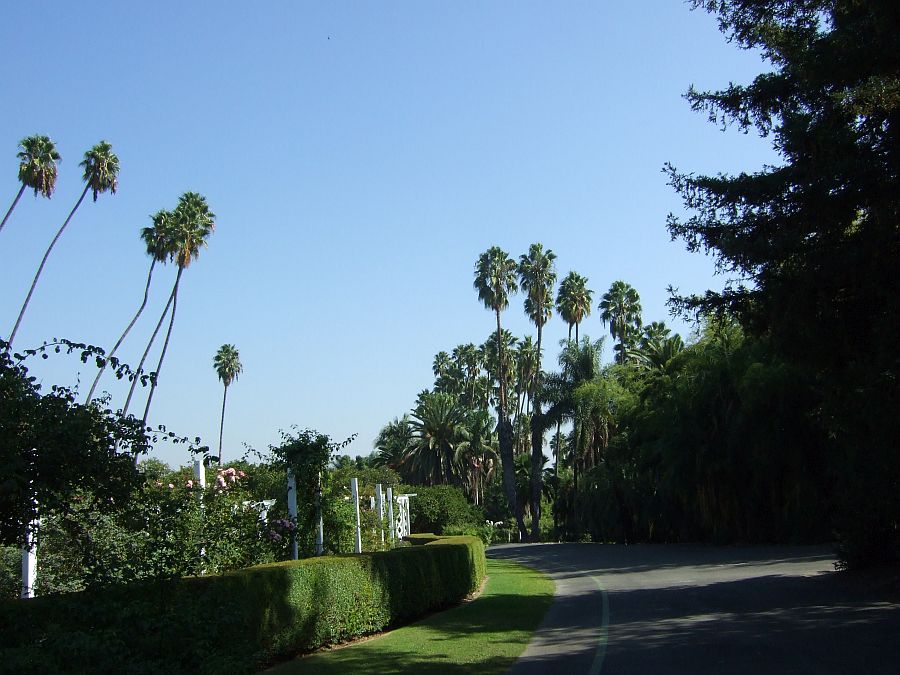 Дендрарий и Ботанический сад, Аркадия, Калифорния, США. Los Angeles County Arboretum and Botanical Garden, Arcadia, CA, USA