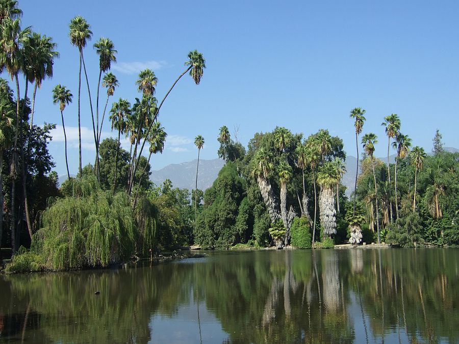 Дендрарий и Ботанический сад, Аркадия, Калифорния, США. Los Angeles County Arboretum and Botanical Garden, Arcadia, CA, USA