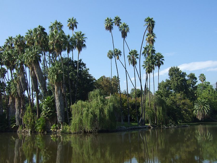 Дендрарий и Ботанический сад, Аркадия, Калифорния, США. Los Angeles County Arboretum and Botanical Garden, Arcadia, CA, USA
