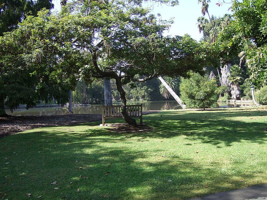 Дендрарий и Ботанический сад, Аркадия, Калифорния, США. Los Angeles County Arboretum and Botanical Garden, Arcadia, CA, USA