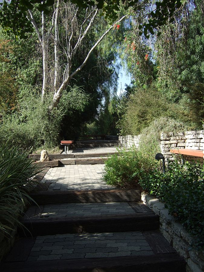 Дендрарий и Ботанический сад, Аркадия, Калифорния, США. Los Angeles County Arboretum and Botanical Garden, Arcadia, CA, USA