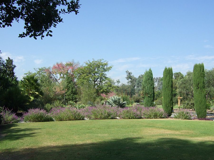 Дендрарий и Ботанический сад, Аркадия, Калифорния, США. Los Angeles County Arboretum and Botanical Garden, Arcadia, CA, USA