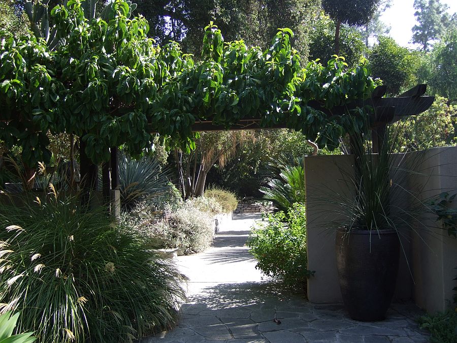Дендрарий и Ботанический сад, Аркадия, Калифорния, США. Los Angeles County Arboretum and Botanical Garden, Arcadia, CA, USA
