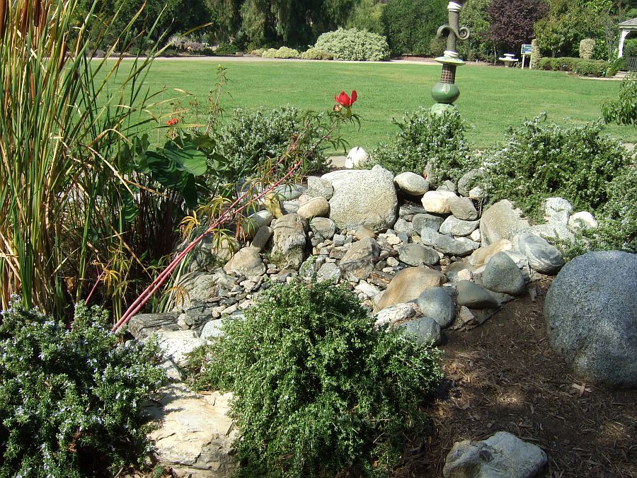 Дендрарий и Ботанический сад, Аркадия, Калифорния, США. Los Angeles County Arboretum and Botanical Garden, Arcadia, CA, USA