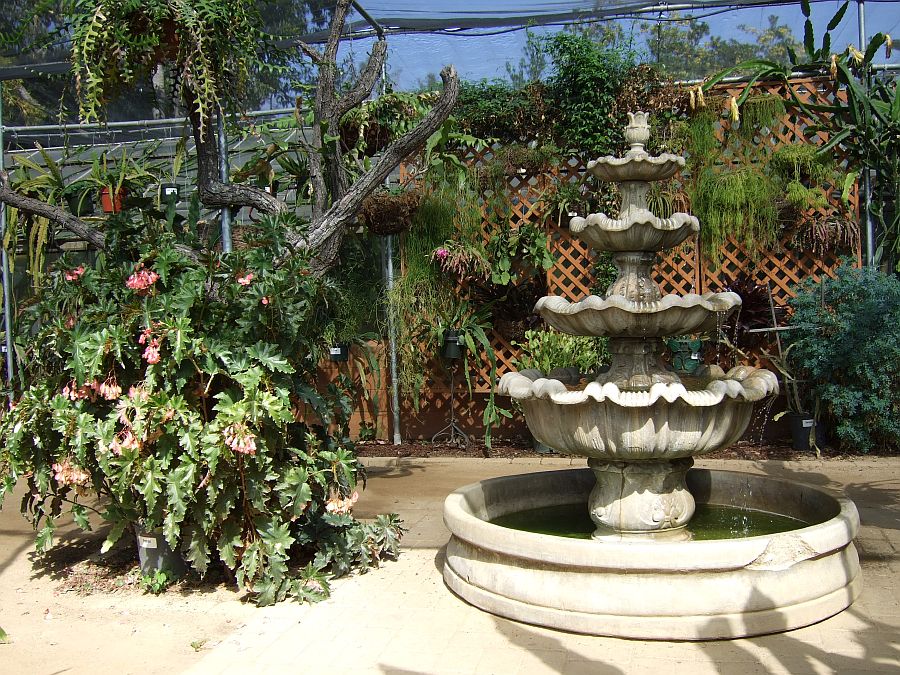 Дендрарий и Ботанический сад, Аркадия, Калифорния, США. Los Angeles County Arboretum and Botanical Garden, Arcadia, CA, USA