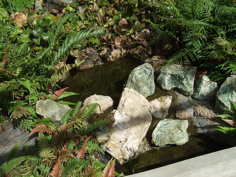 Дендрарий и Ботанический сад, Аркадия, Калифорния, США. Los Angeles County Arboretum and Botanical Garden, Arcadia, CA, USA