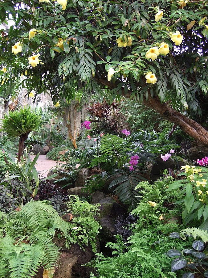 Дендрарий и Ботанический сад, Аркадия, Калифорния, США. Los Angeles County Arboretum and Botanical Garden, Arcadia, CA, USA